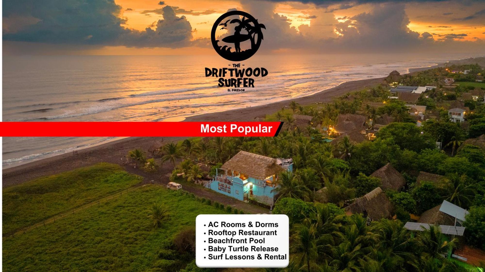 The Driftwood Surfer Beachfront / Restaurant / Bar, El Paredon אכסניה *